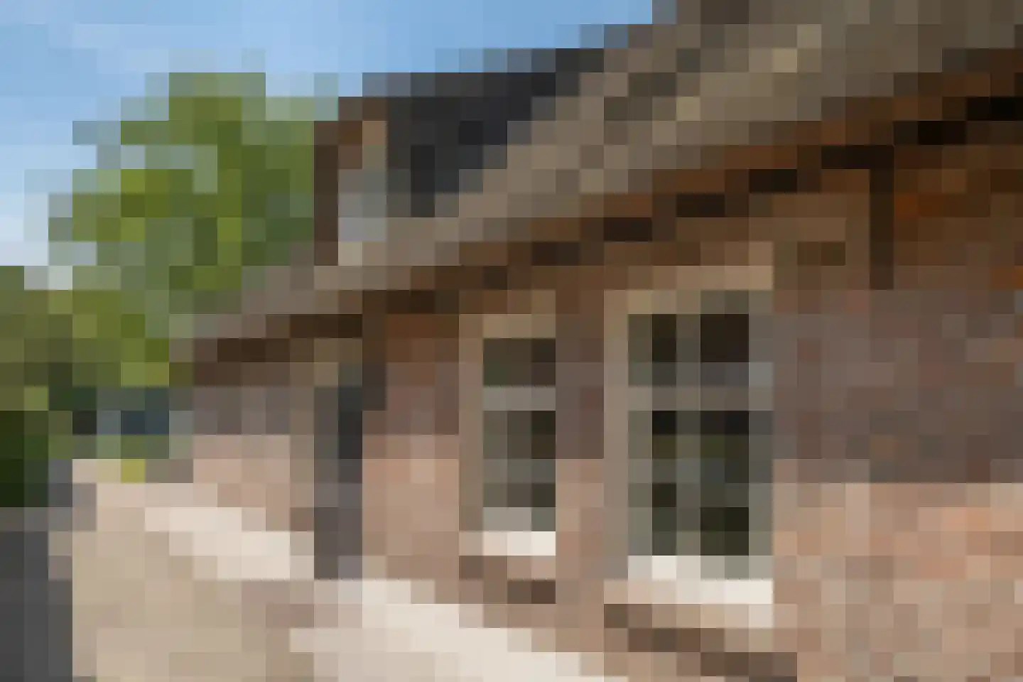 Haarsteegsestraat 95 Haarsteeg thumbnail 6