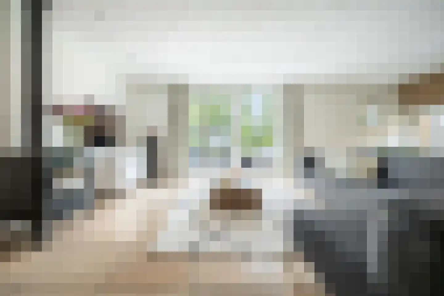 Haarsteegsestraat 95 Haarsteeg thumbnail 7