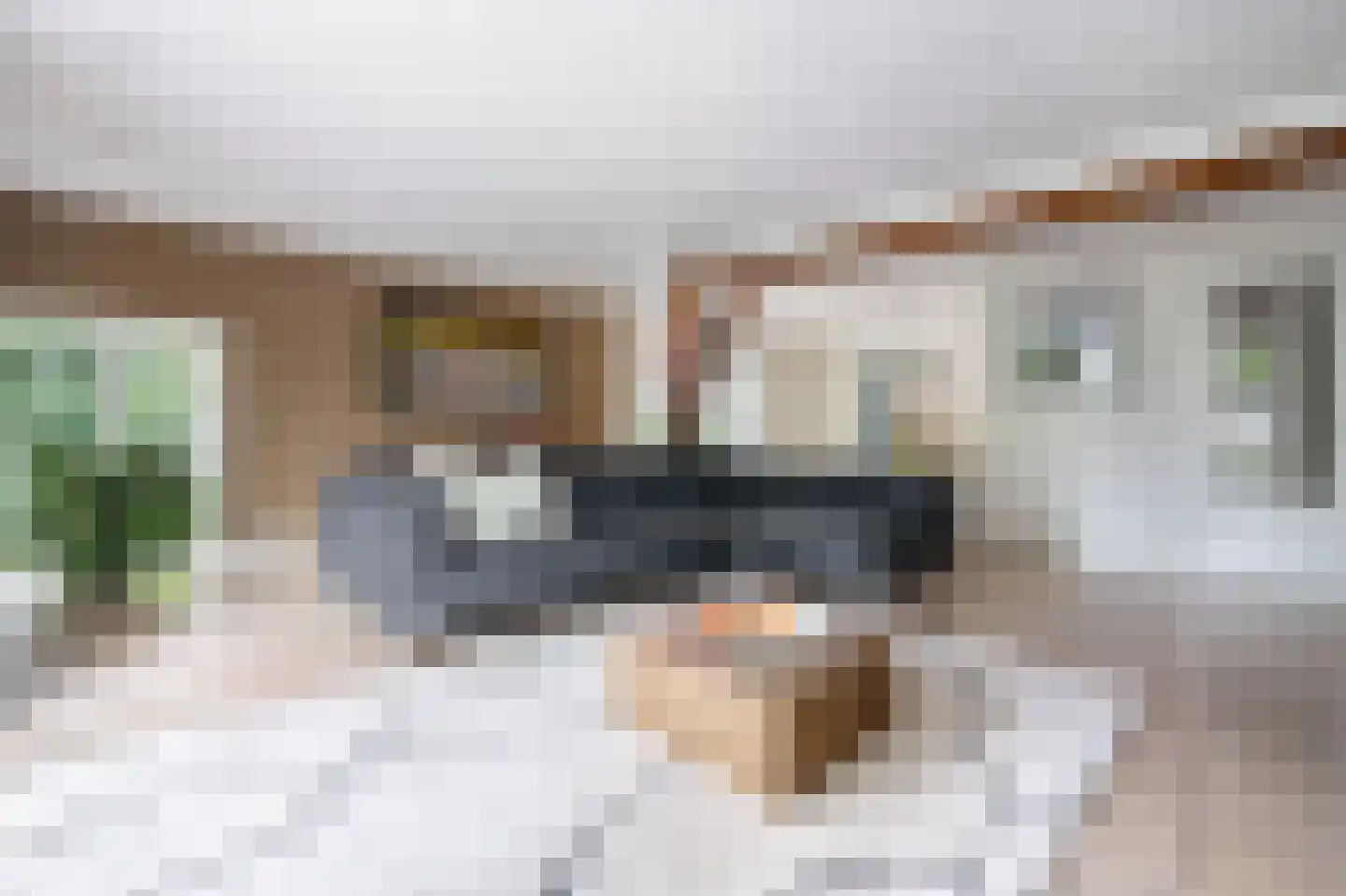 Haarsteegsestraat 95 Haarsteeg thumbnail 8