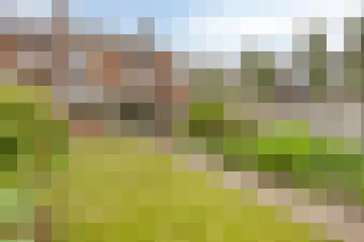 Haarstraat 10 Ammerzoden thumbnail 5