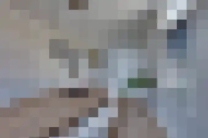 Haarstraat 104 Rijssen thumbnail 16
