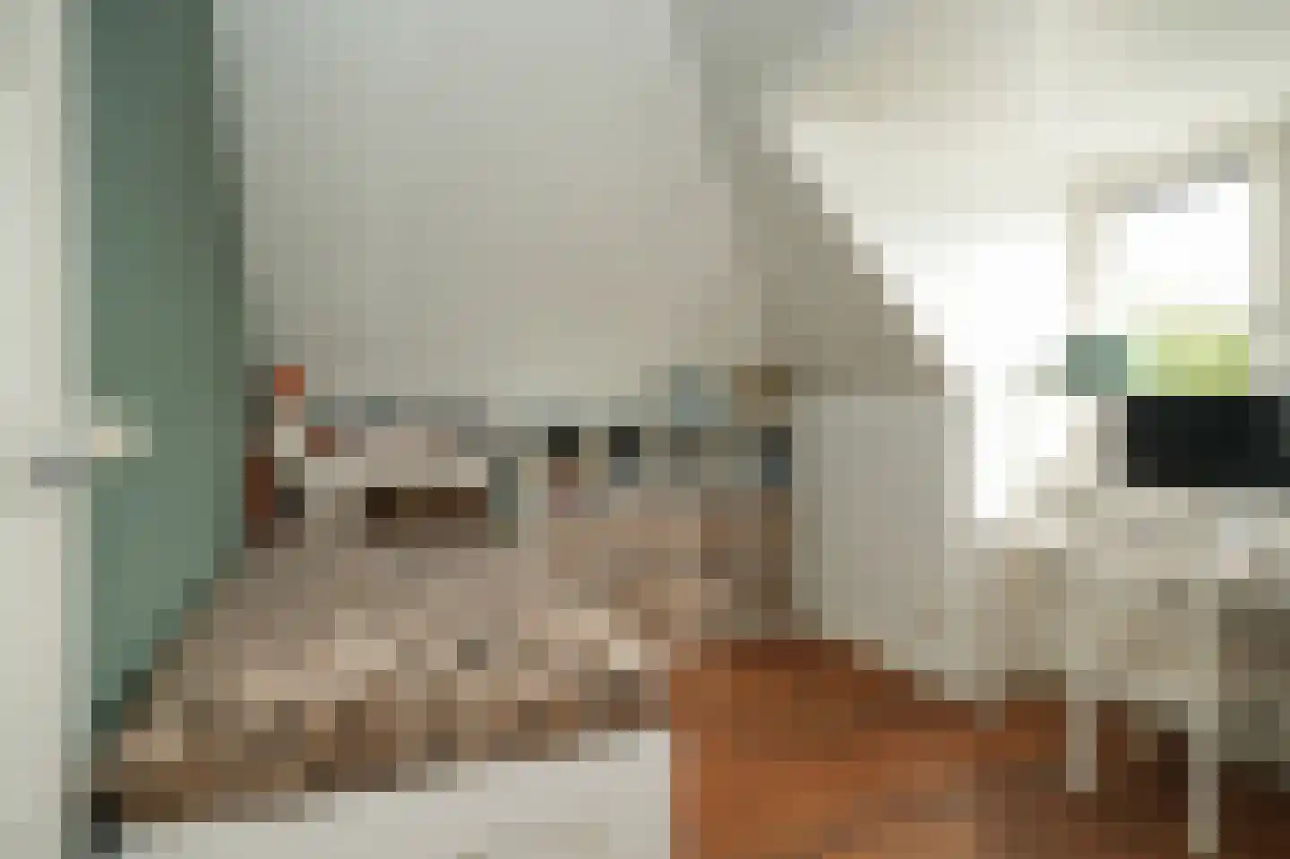 Haarstraat 16 Tuil thumbnail 39