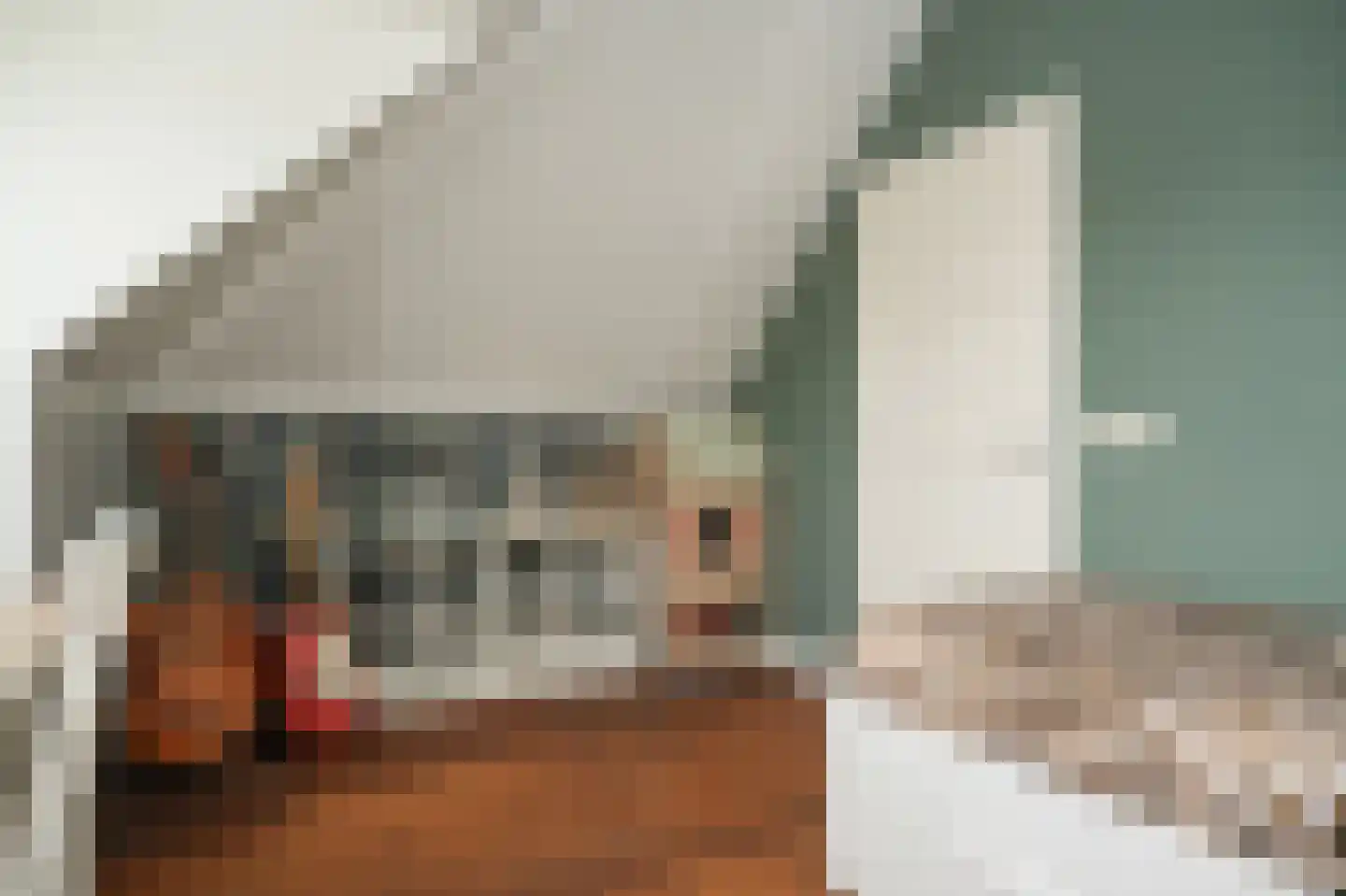 Haarstraat 16 Tuil thumbnail 40
