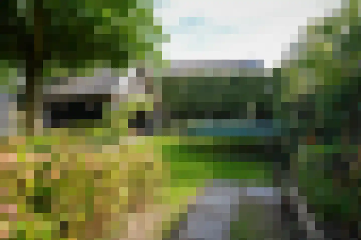 Haarstraat 16 Tuil thumbnail 48