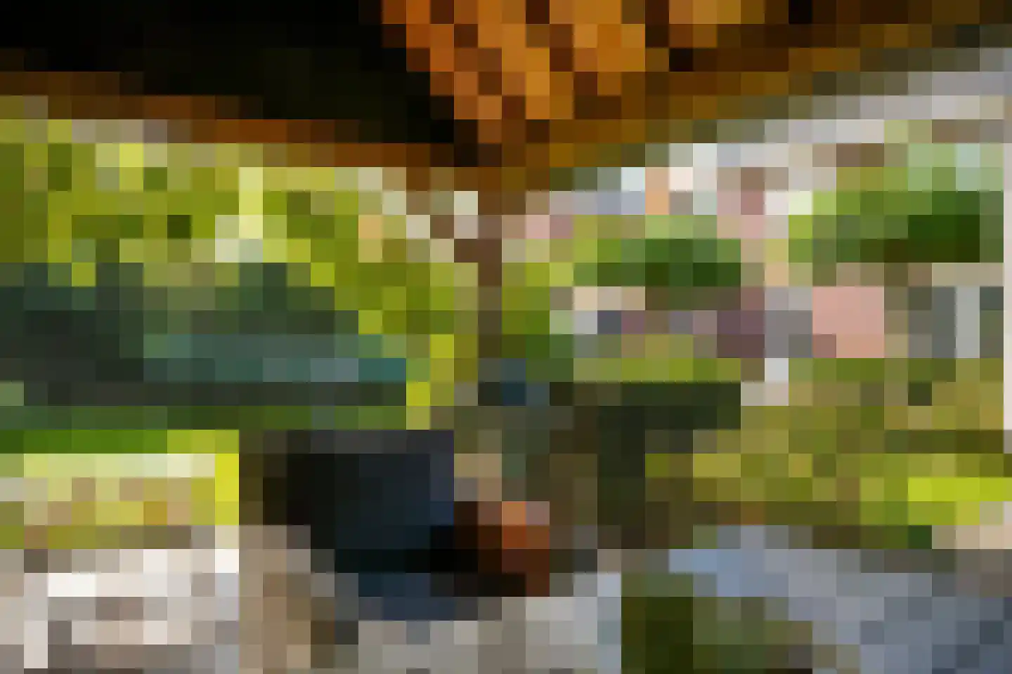 Haarstraat 16 Tuil thumbnail 53