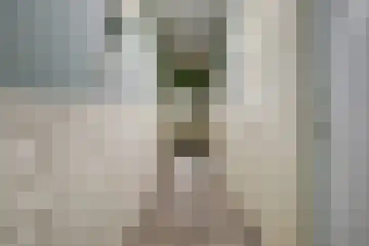 Haarstraat 3 Ammerzoden thumbnail 13