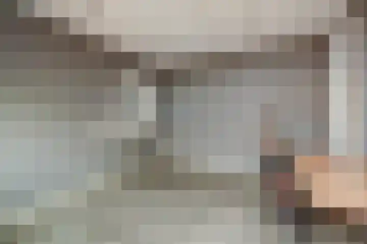 Haarstraat 3 Ammerzoden thumbnail 18