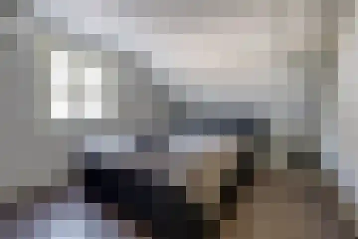 Haarstraat 3 Ammerzoden thumbnail 22