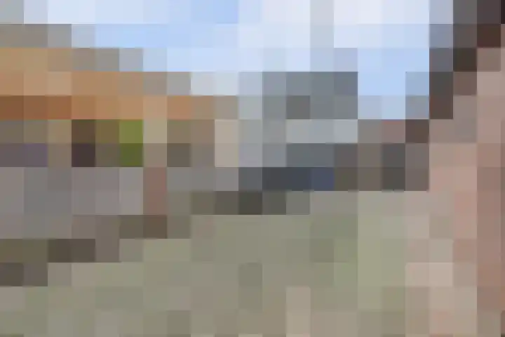 Haarstraat 3 Ammerzoden thumbnail 31