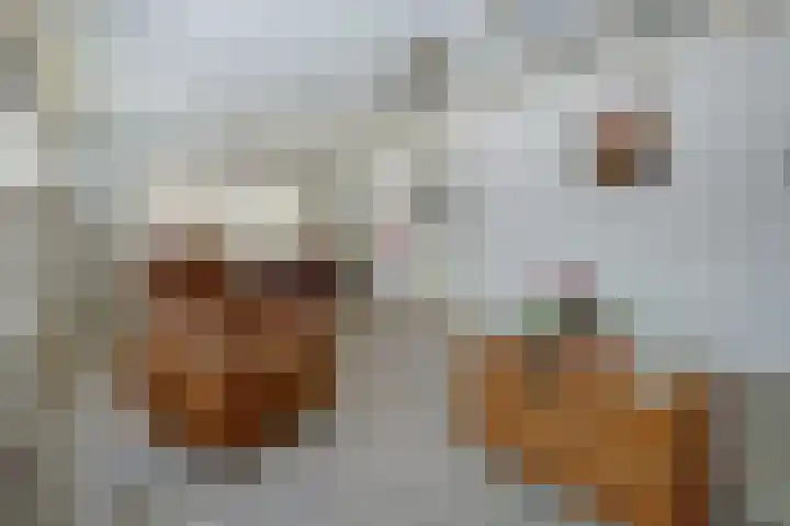 Haarstraat 3 Ammerzoden thumbnail 4