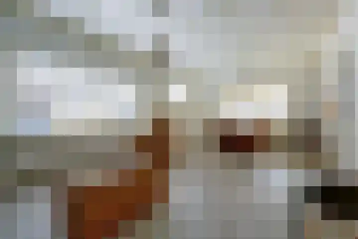 Haarstraat 3 Ammerzoden thumbnail 5