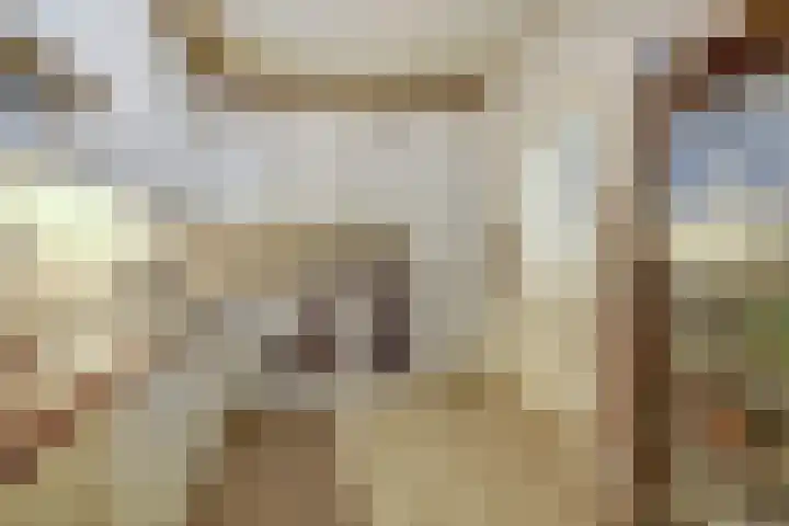Haarstraat 3 Ammerzoden thumbnail 9