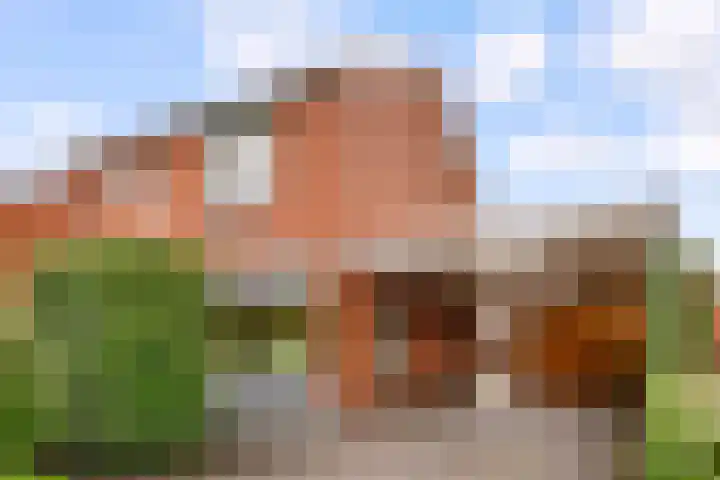 Haarstraat 42 Beltrum thumbnail 6
