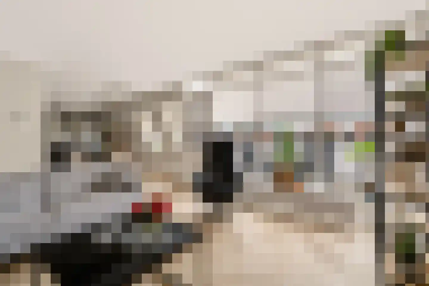 Haarstraat 58 A Rijssen thumbnail 12