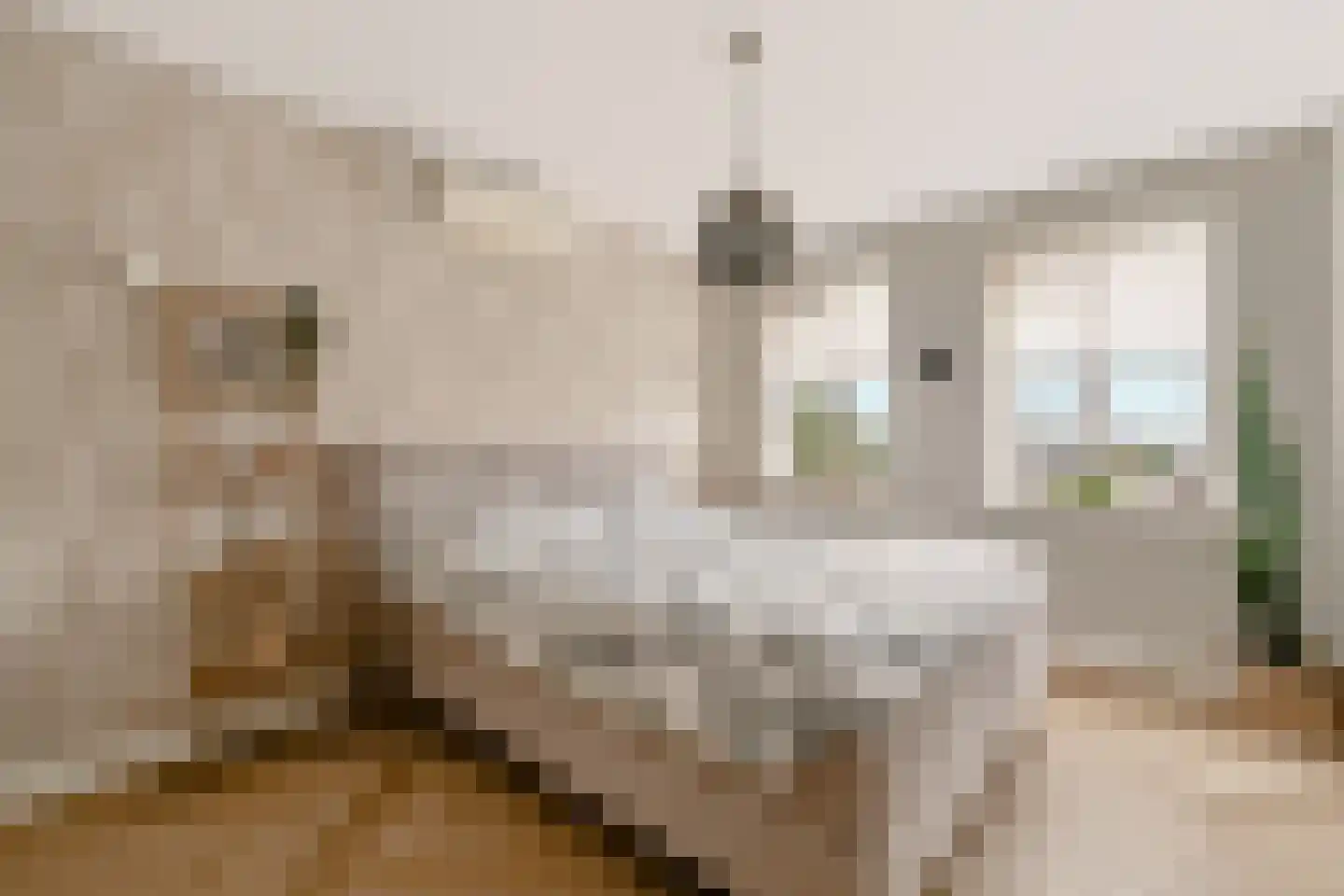 Haarstraat 58 A Rijssen thumbnail 15