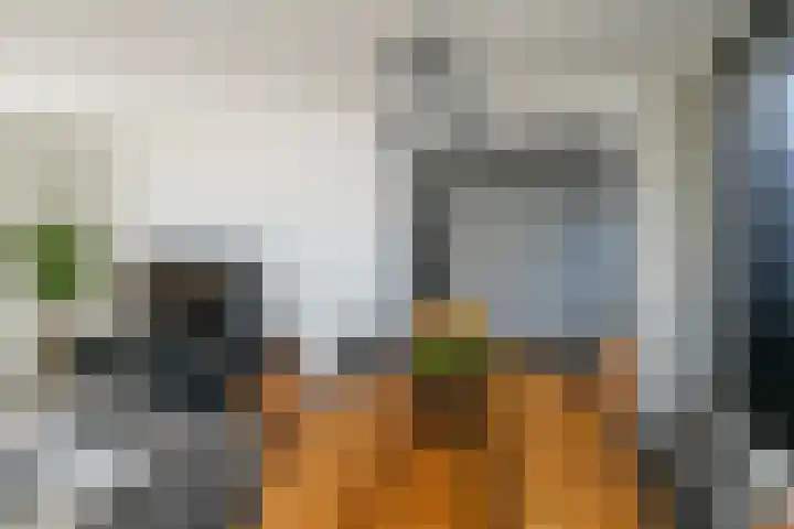 Haarstraat 8 Enspijk thumbnail 14