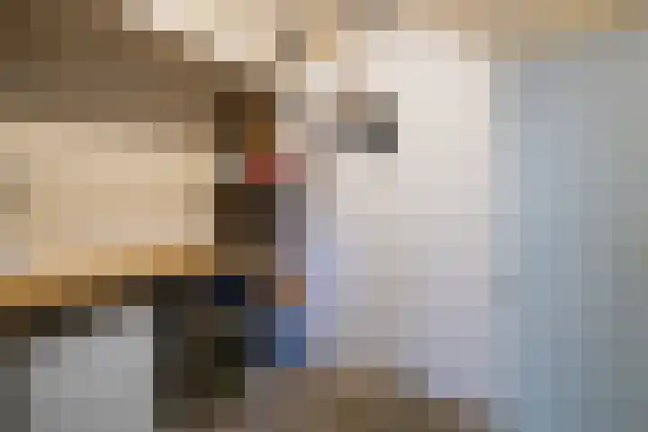 Haarstraat 8 Enspijk thumbnail 22