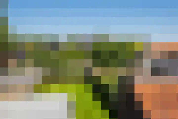 Haarstraat 8 Enspijk thumbnail 27