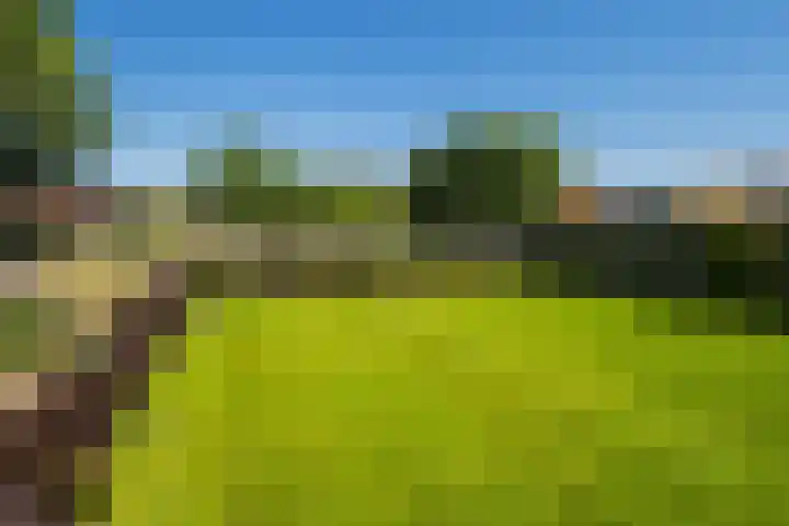 Haarstraat 8 Enspijk thumbnail 43