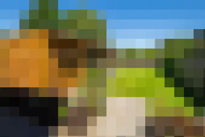 Haarstraat 8 Enspijk thumbnail 5