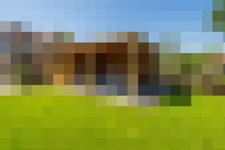 Haarstraat 8 Enspijk thumbnail 6