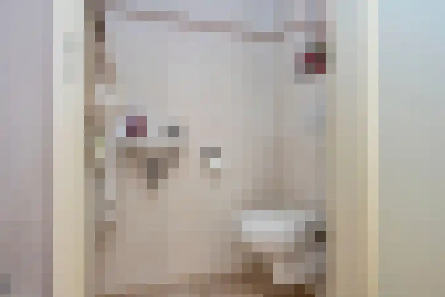 Haarstraat 87 Rijssen thumbnail 5