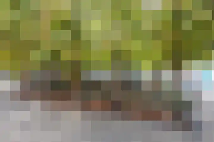 Haarstraat 90 Gorinchem thumbnail 14