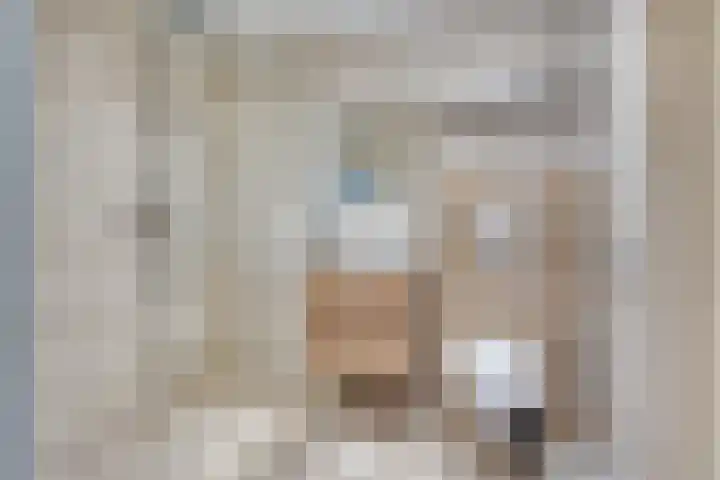 Haarsweg 31 Ommen thumbnail 11