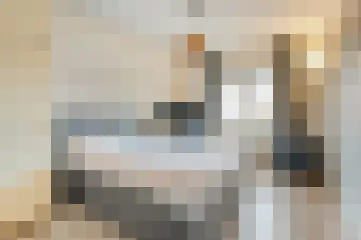 Haarsweg 31 Ommen thumbnail 13