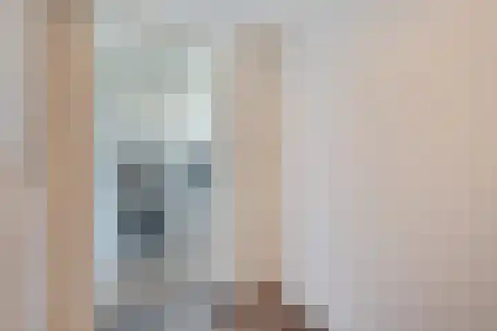 Haarsweg 31 Ommen thumbnail 15