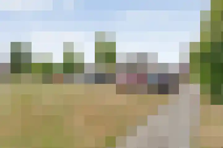 Haarsweg 31 Ommen thumbnail 25