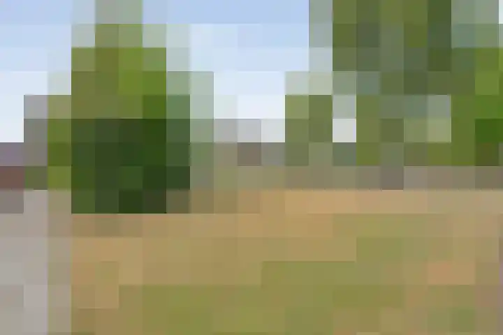 Haarsweg 31 Ommen thumbnail 26