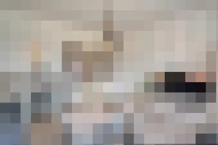 Haarsweg 31 Ommen thumbnail 4