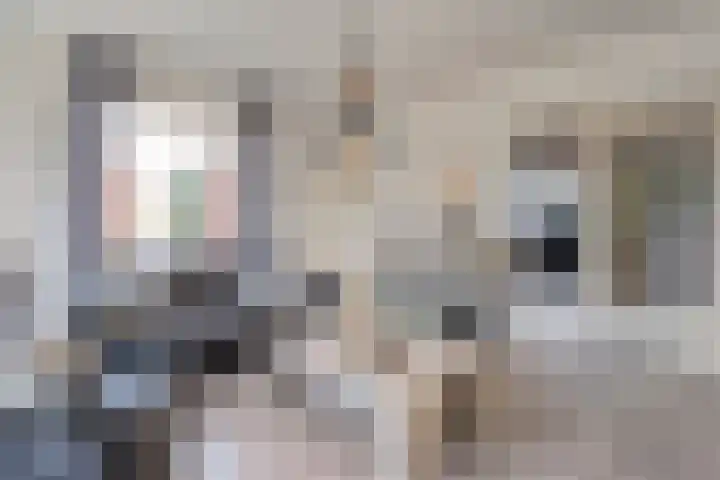 Haarsweg 31 Ommen thumbnail 5