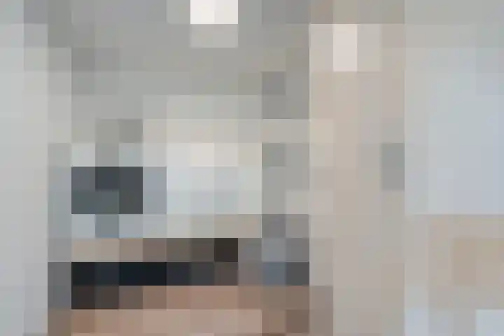 Haarsweg 31 Ommen thumbnail 7
