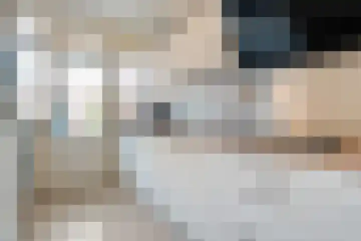Haarsweg 31 Ommen thumbnail 8