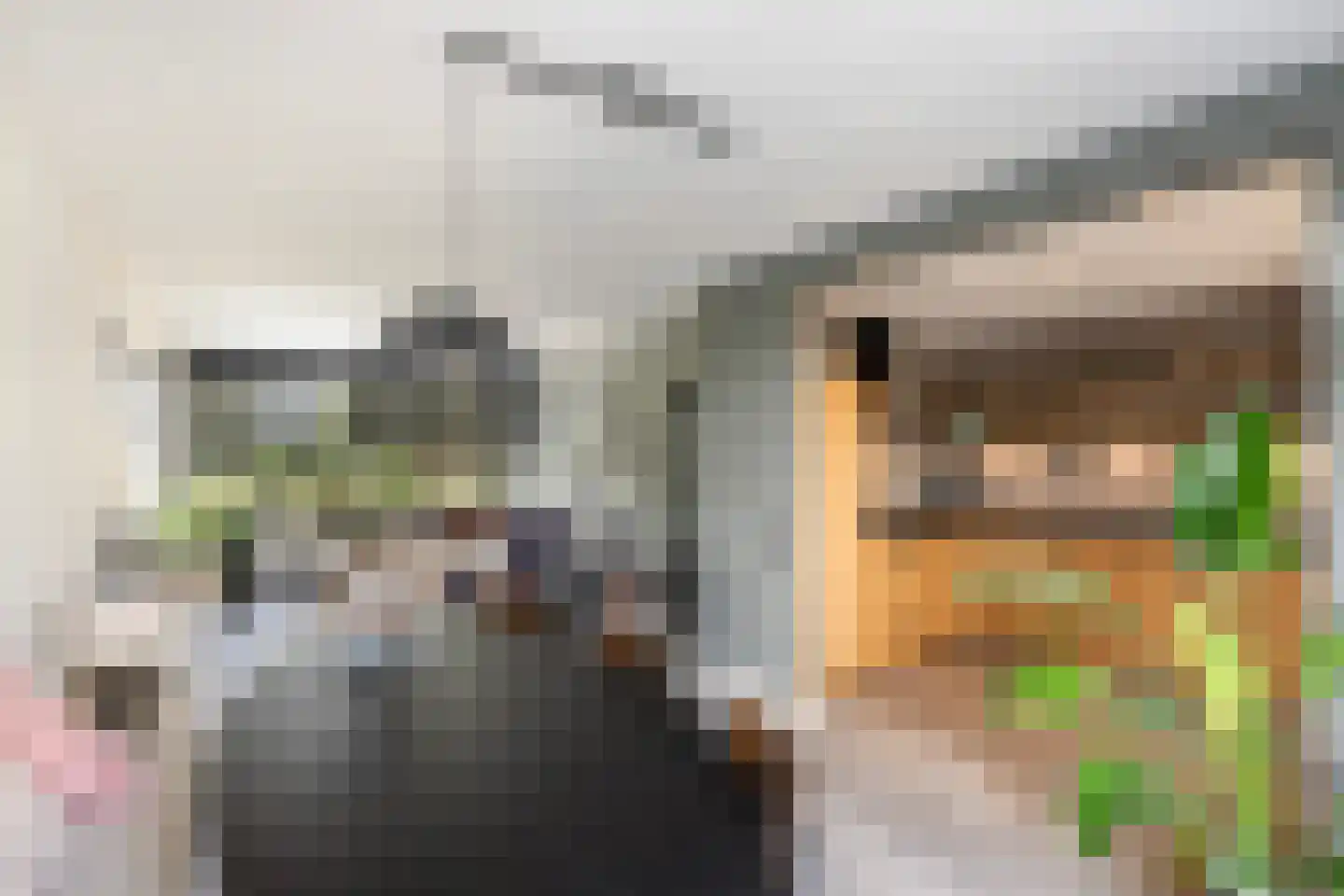 Haarsweg 71 Ommen thumbnail 16