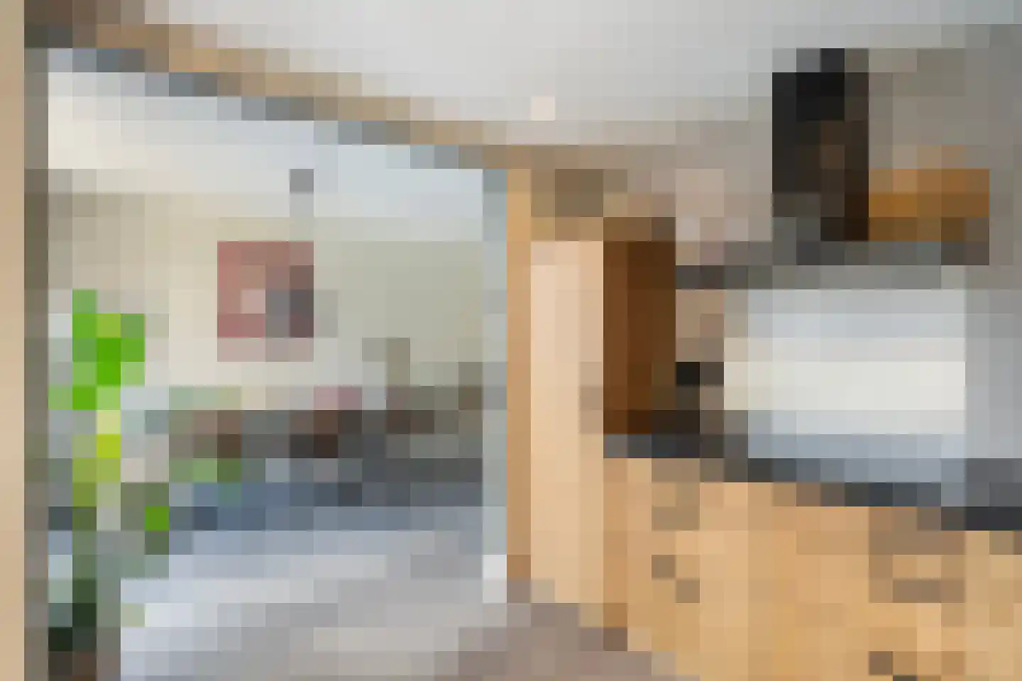 Haarsweg 71 Ommen thumbnail 18