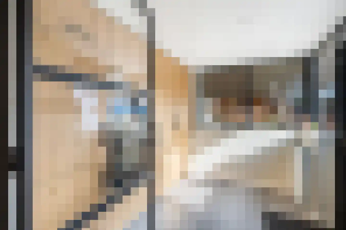 Haarsweg 71 Ommen thumbnail 20