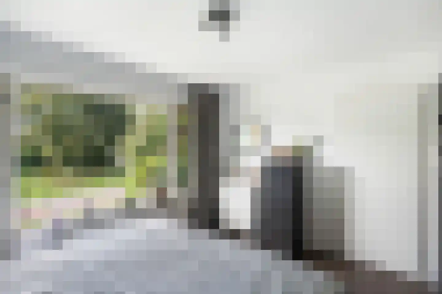 Haarsweg 71 Ommen thumbnail 23