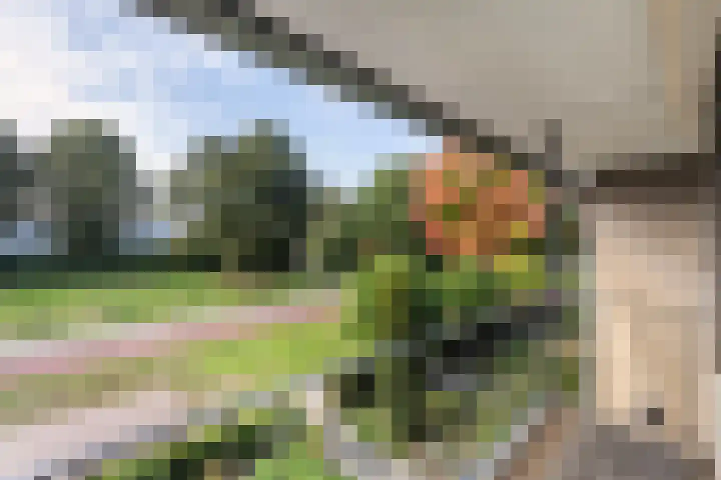 Haarsweg 71 Ommen thumbnail 24