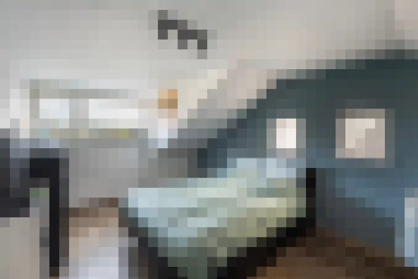 Haarsweg 71 Ommen thumbnail 30