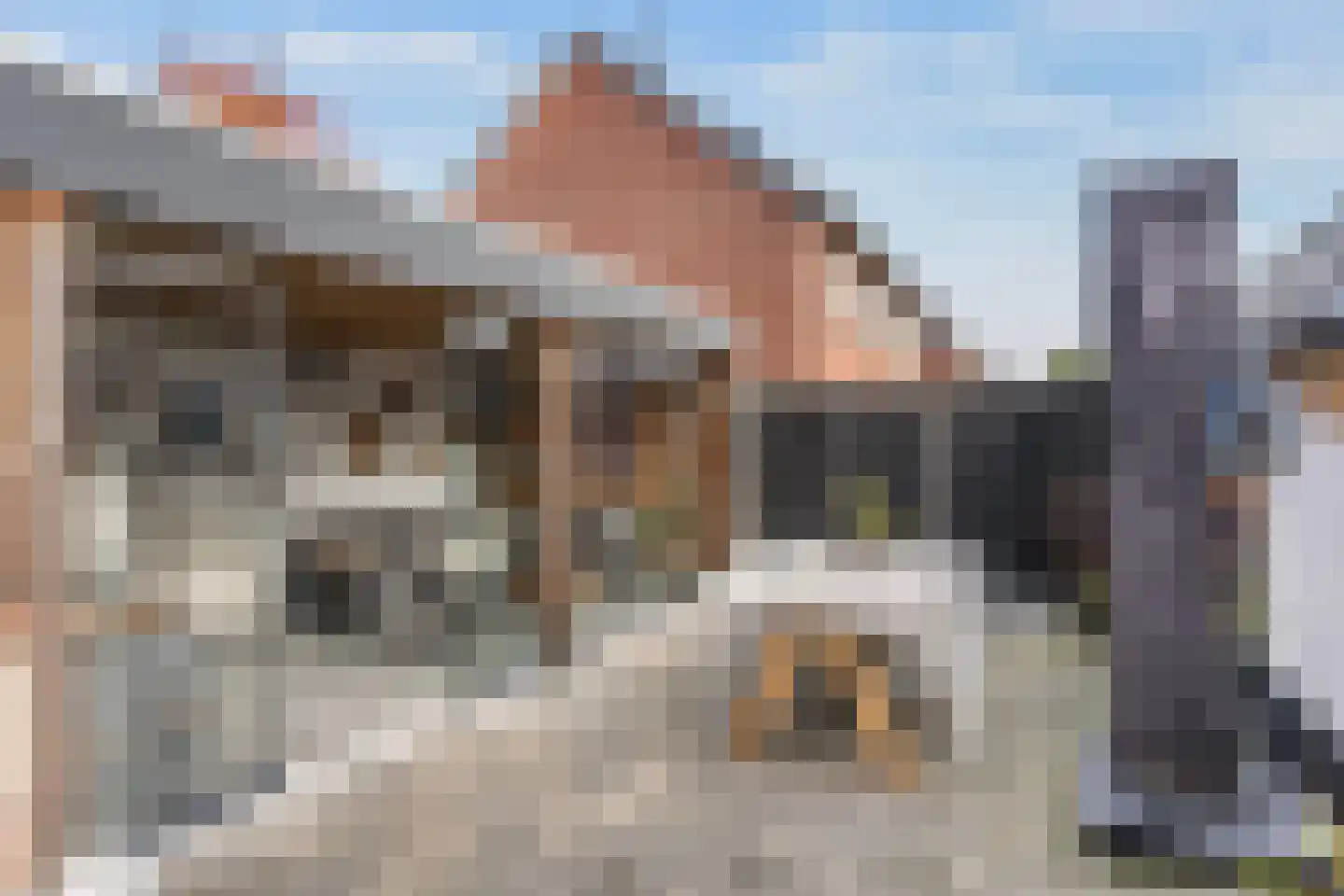 Haarsweg 71 Ommen thumbnail 33
