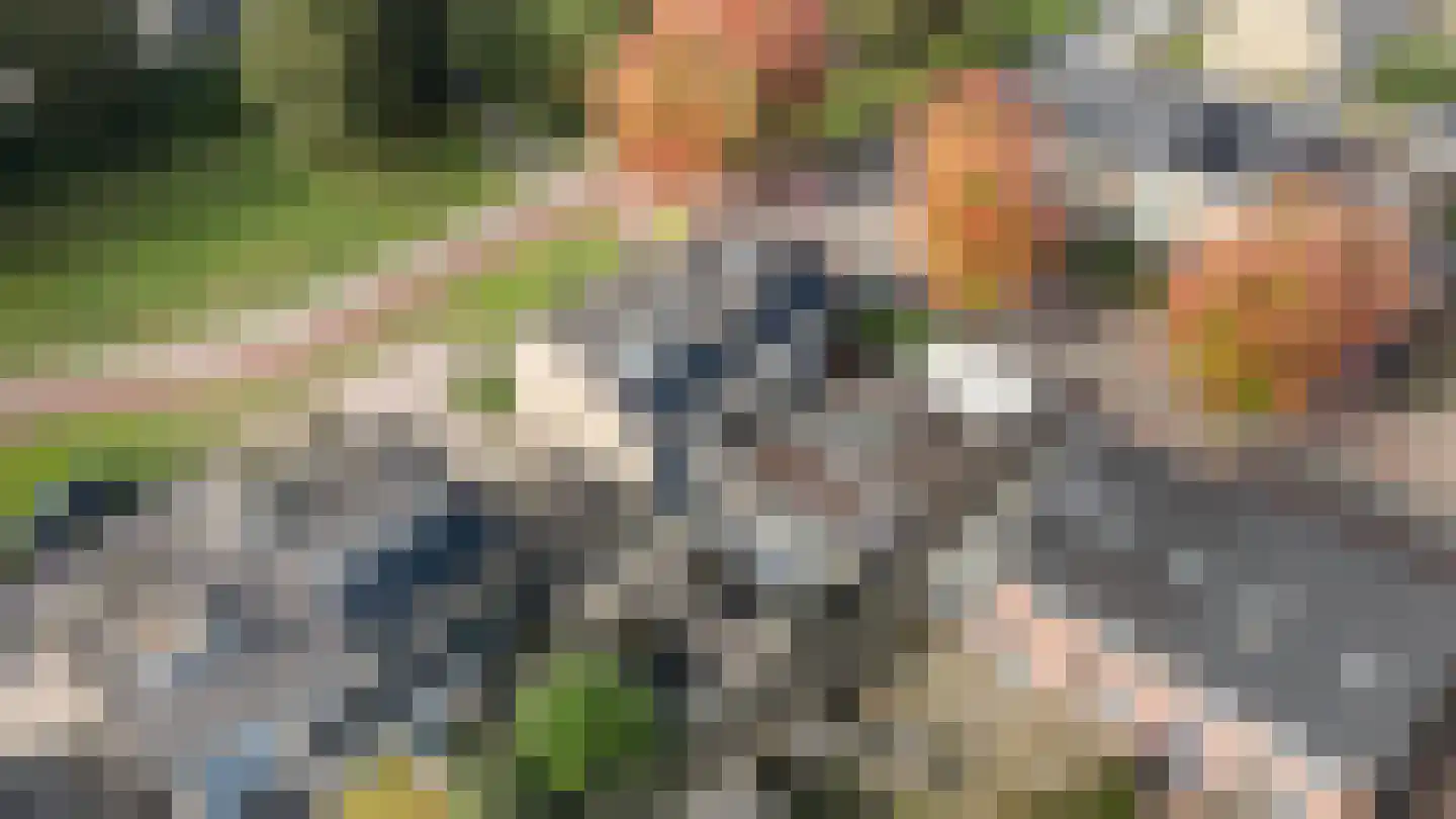 Haarsweg 71 Ommen thumbnail 39