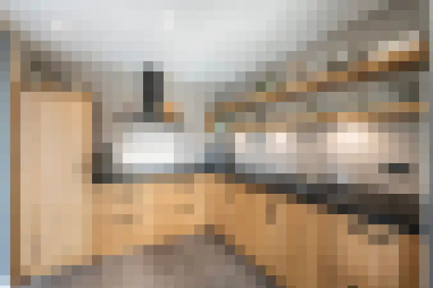 Haarsweg 71 Ommen thumbnail 4