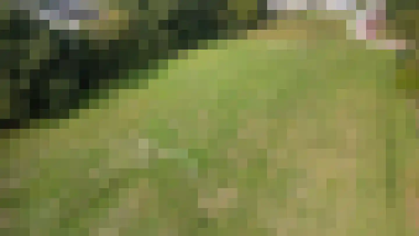 Haarsweg 71 Ommen thumbnail 8