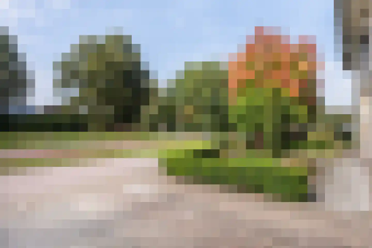 Haarsweg 71 Ommen thumbnail 9