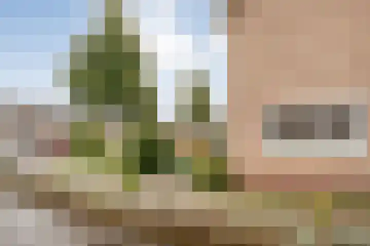 Haarsweg 8 Ommen thumbnail 10