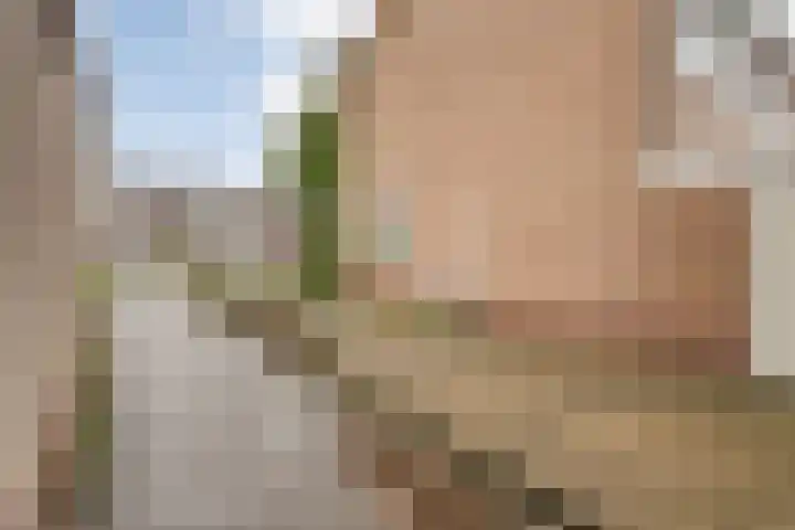 Haarsweg 8 Ommen thumbnail 11