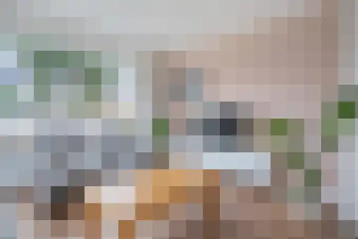Haarsweg 8 Ommen thumbnail 17